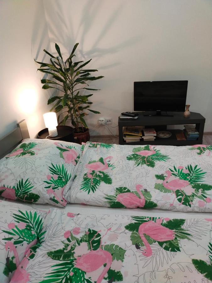 Ferienwohnung Przy Rynku Duszniki Zdrój Exterior foto
